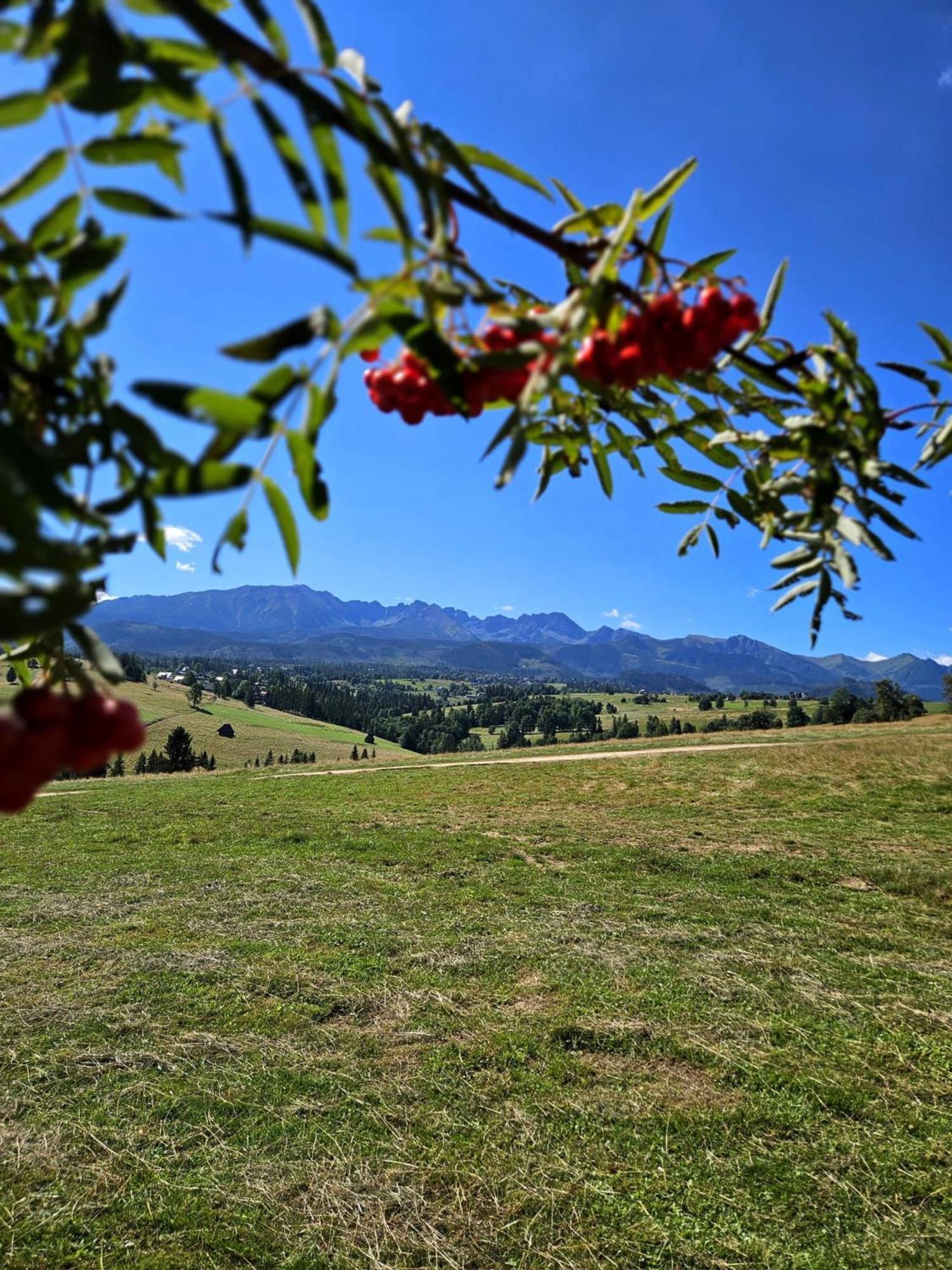 Goralska Chatka 3 Highland Cottage - Jacuzzi, Sauna, Split Ac, Private Parking, Mountains View Zakopane Eksteriør bilde