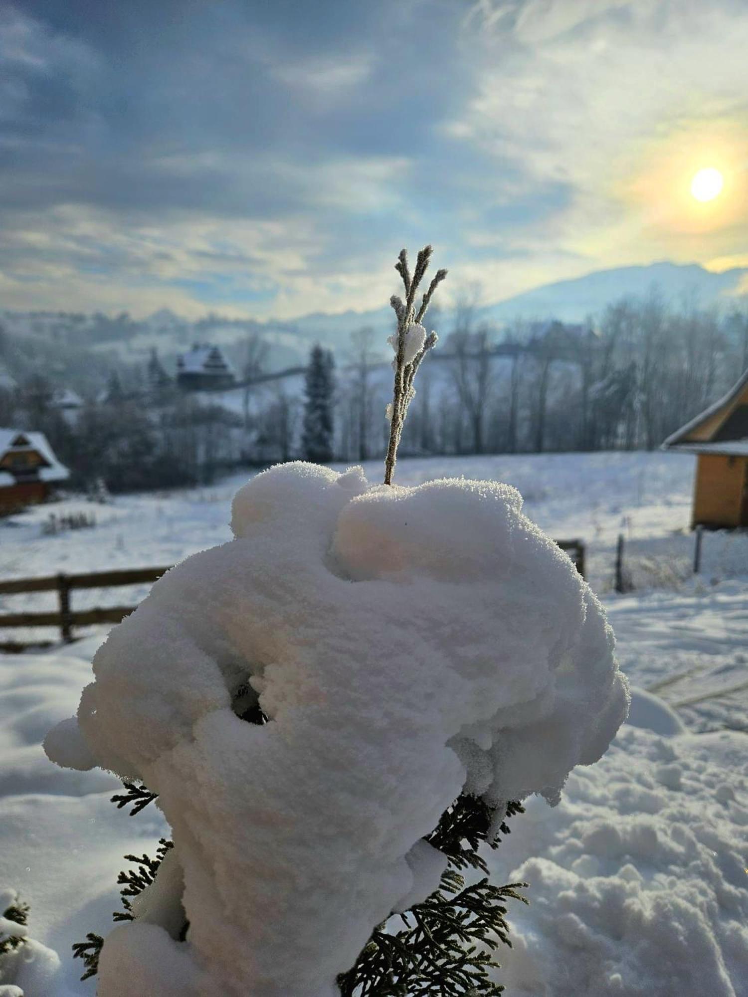 Goralska Chatka 3 Highland Cottage - Jacuzzi, Sauna, Split Ac, Private Parking, Mountains View Zakopane Eksteriør bilde